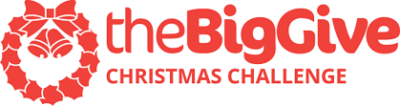 Big give logo