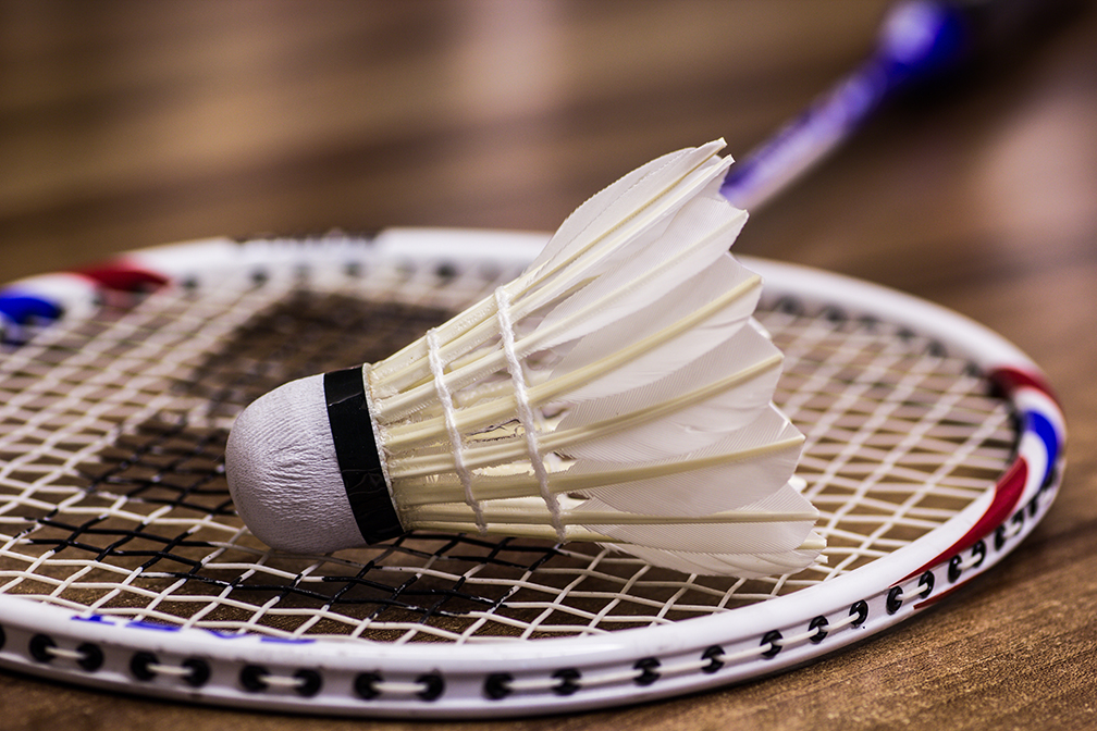 Badminton racket and shuttlecock